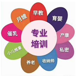 wg电子掌上供应链订货系统官方移动APP绿色下载